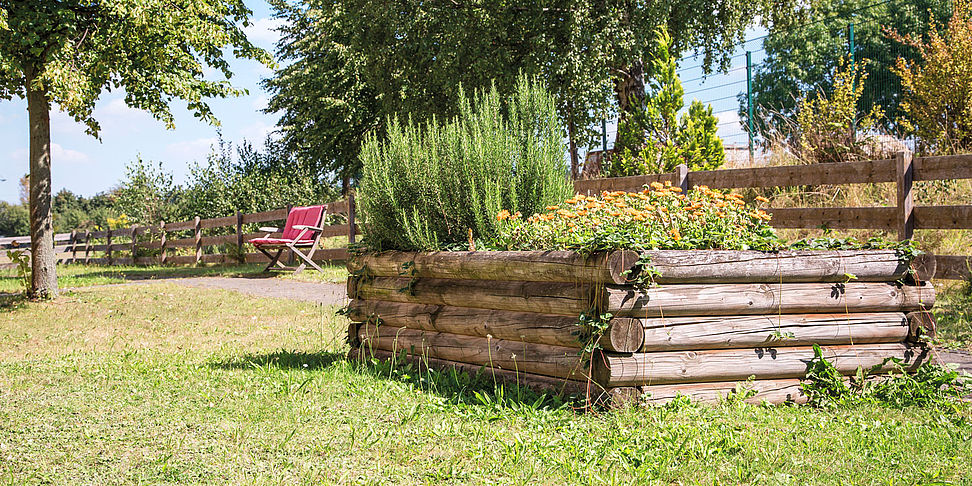 Das Pflegeheim Meerane Haus Hoehenweg lädt ein zum Spaziergang im Garten.
