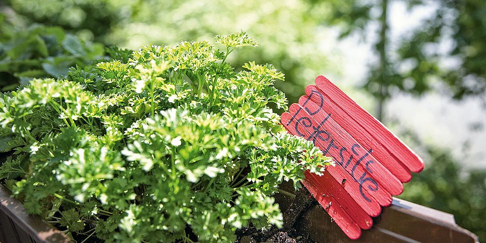 Schön gestalteter Garten im Pflegeheim Herzogenaurach