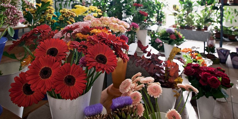 Der schöne Blumenladen im Pflegeheim.