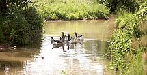 Schön gestalteter Garten im Pflegeheim Herzogenaurach